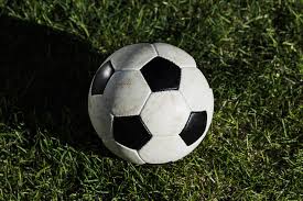 多平台下载支持